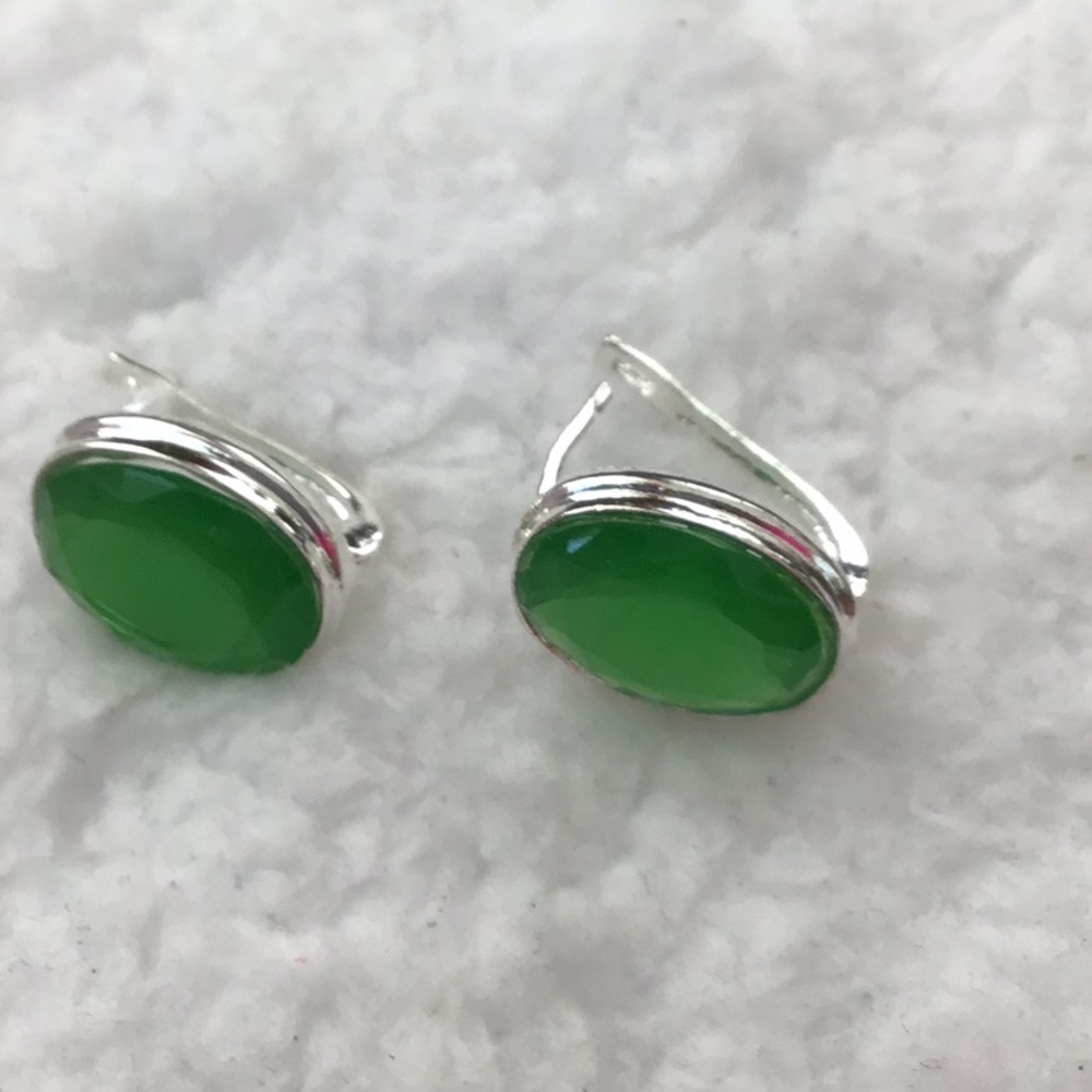 Oval Shape Acrylic Jade Earrings